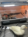 Pet Incubator ICU -Preorder