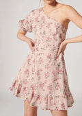 Ella Dress - MISTY ROSE