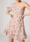 Ella Dress - MISTY ROSE