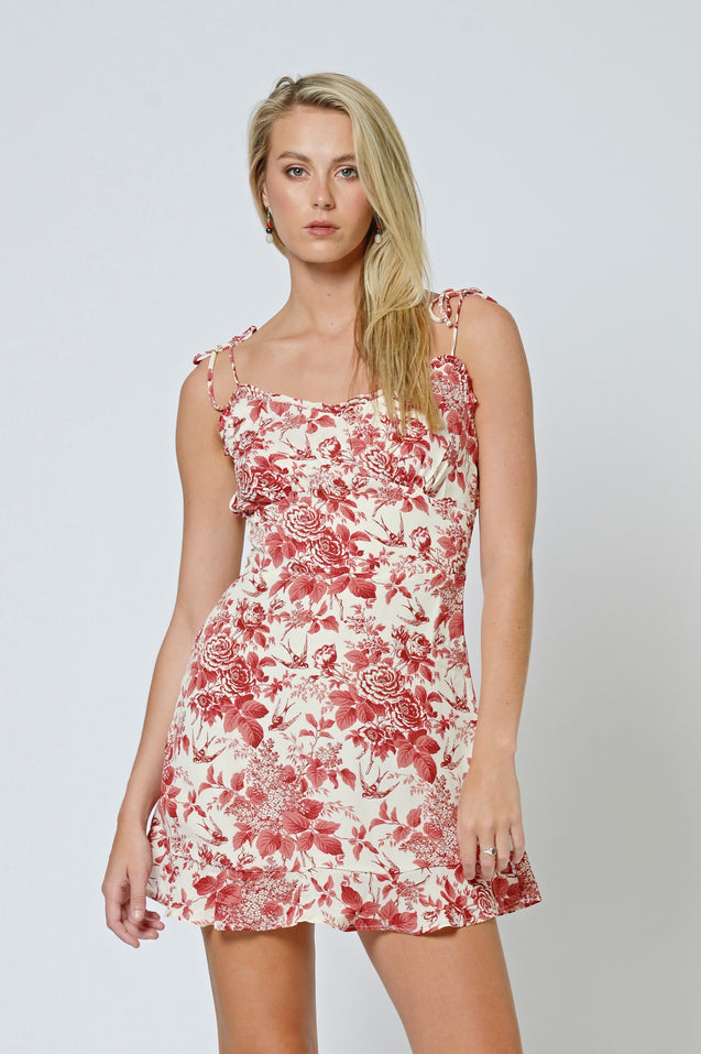 Juliette Mini Dress - VINTAGE ROSE